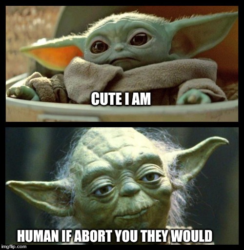 You have no way to know what could have been | CUTE I AM; HUMAN IF ABORT YOU THEY WOULD | image tagged in baby yoda,abortion is murder,all life matters,do the right thing,love them or keep your legs closed,jedi babies matter | made w/ Imgflip meme maker