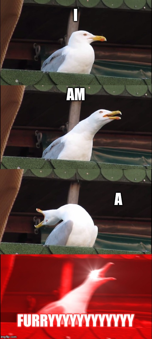 Inhaling Seagull | I; AM; A; FURRYYYYYYYYYYYY | image tagged in memes,inhaling seagull | made w/ Imgflip meme maker