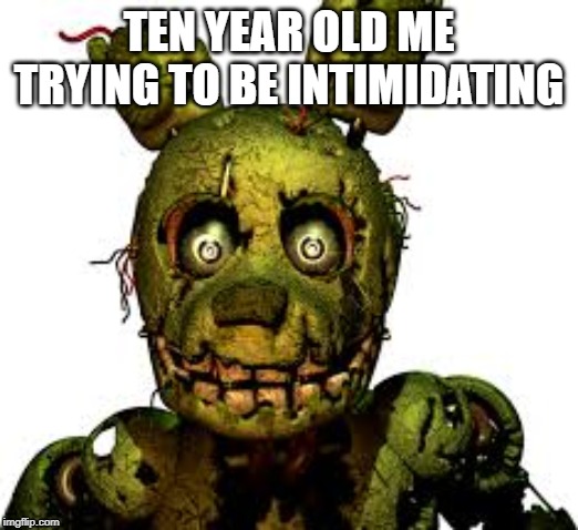 springtrap | TEN YEAR OLD ME TRYING TO BE INTIMIDATING | image tagged in video games,funny | made w/ Imgflip meme maker
