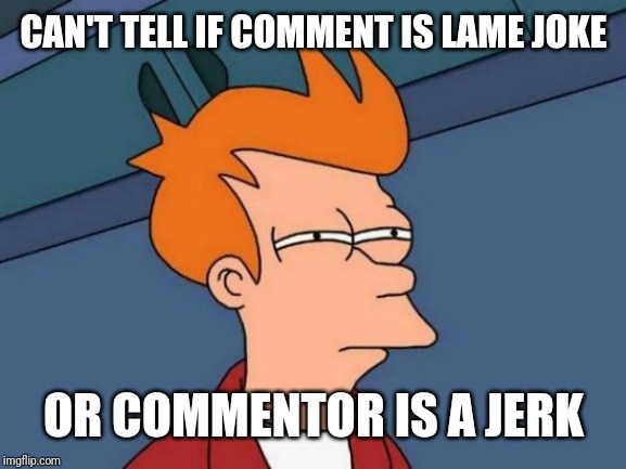 Futurama Fry | CAN'T TELL IF COMMENT IS LAME JOKE; OR COMMENTOR IS A JERK | image tagged in memes,futurama fry | made w/ Imgflip meme maker