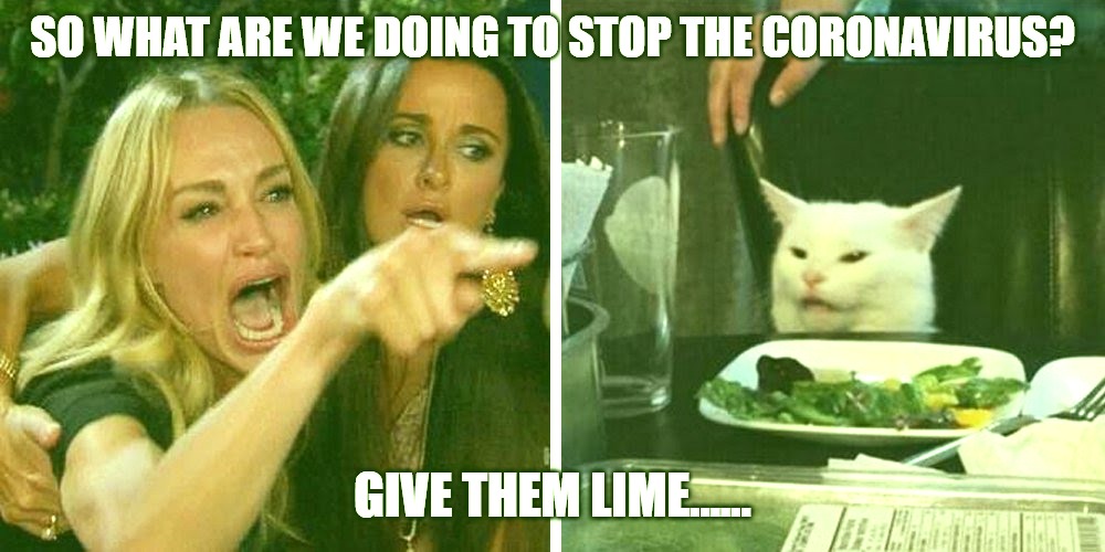 Smudge the cat | SO WHAT ARE WE DOING TO STOP THE CORONAVIRUS? GIVE THEM LIME...... | image tagged in smudge the cat | made w/ Imgflip meme maker