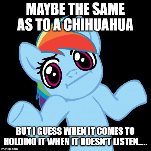 Pony Shrugs Meme | MAYBE THE SAME AS TO A CHIHUAHUA BUT I GUESS WHEN IT COMES TO HOLDING IT WHEN IT DOESN'T LISTEN..... | image tagged in memes,pony shrugs | made w/ Imgflip meme maker