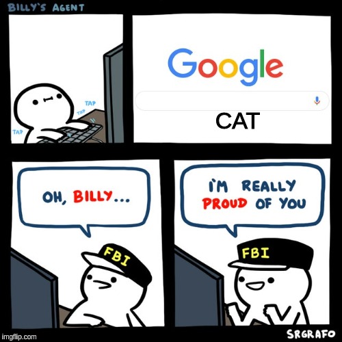 Billy's FBI Agent | CAT | image tagged in billy's fbi agent | made w/ Imgflip meme maker