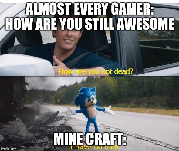 sonic how are you not dead | ALMOST EVERY GAMER: HOW ARE YOU STILL AWESOME; MINE CRAFT: | image tagged in sonic how are you not dead | made w/ Imgflip meme maker