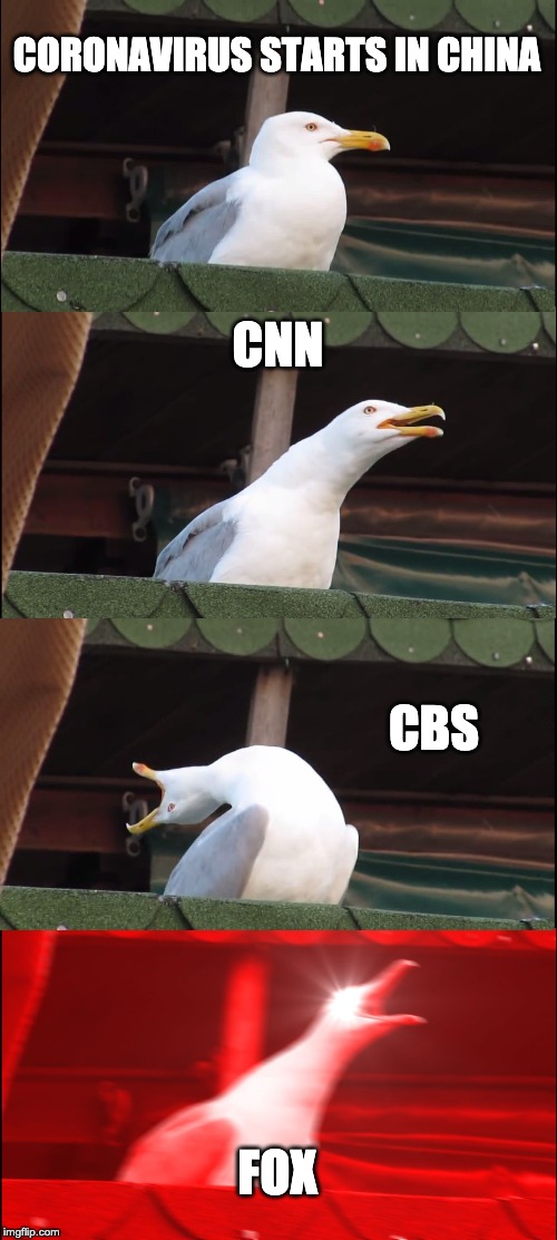 Inhaling Seagull | CORONAVIRUS STARTS IN CHINA; CNN; CBS; FOX | image tagged in memes,inhaling seagull | made w/ Imgflip meme maker