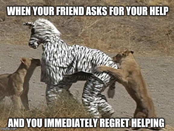 Good friend | WHEN YOUR FRIEND ASKS FOR YOUR HELP; AND YOU IMMEDIATELY REGRET HELPING | image tagged in dumb ass,zebra,lions | made w/ Imgflip meme maker