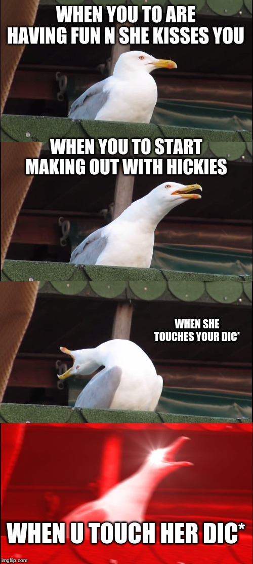 Inhaling Seagull | WHEN YOU TO ARE HAVING FUN N SHE KISSES YOU; WHEN YOU TO START MAKING OUT WITH HICKIES; WHEN SHE TOUCHES YOUR DIC*; WHEN U TOUCH HER DIC* | image tagged in memes,inhaling seagull | made w/ Imgflip meme maker