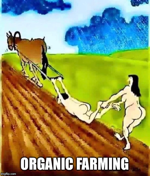 Organic Farming | ORGANIC FARMING | image tagged in organic,farming,nsfw,funny | made w/ Imgflip meme maker