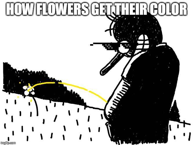 how flowers get their color | HOW FLOWERS GET THEIR COLOR | image tagged in funny | made w/ Imgflip meme maker