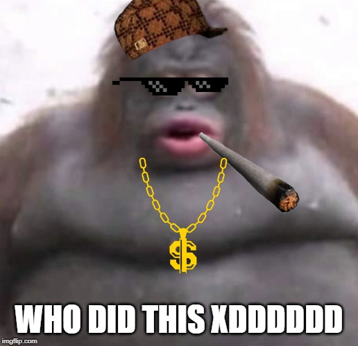 Le Monke |  WHO DID THIS XDDDDDD | image tagged in le monke | made w/ Imgflip meme maker