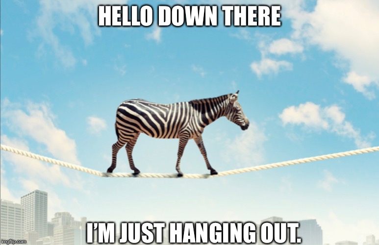Hanging out | HELLO DOWN THERE; I’M JUST HANGING OUT. | image tagged in zebra,memes | made w/ Imgflip meme maker