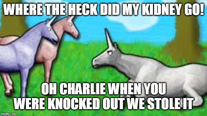 so funny you will die | WHERE THE HECK DID MY KIDNEY GO! OH CHARLIE WHEN YOU WERE KNOCKED OUT WE STOLE IT | image tagged in lol so funny | made w/ Imgflip meme maker