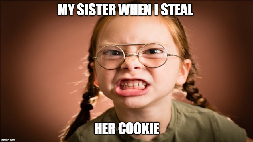 ( '_' ) | MY SISTER WHEN I STEAL; HER COOKIE | image tagged in funny memes | made w/ Imgflip meme maker