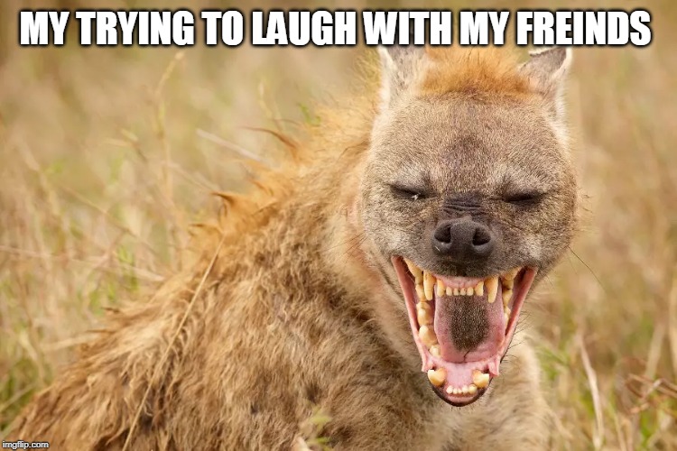 MY TRYING TO LAUGH WITH MY FREINDS | image tagged in see nobody cares | made w/ Imgflip meme maker