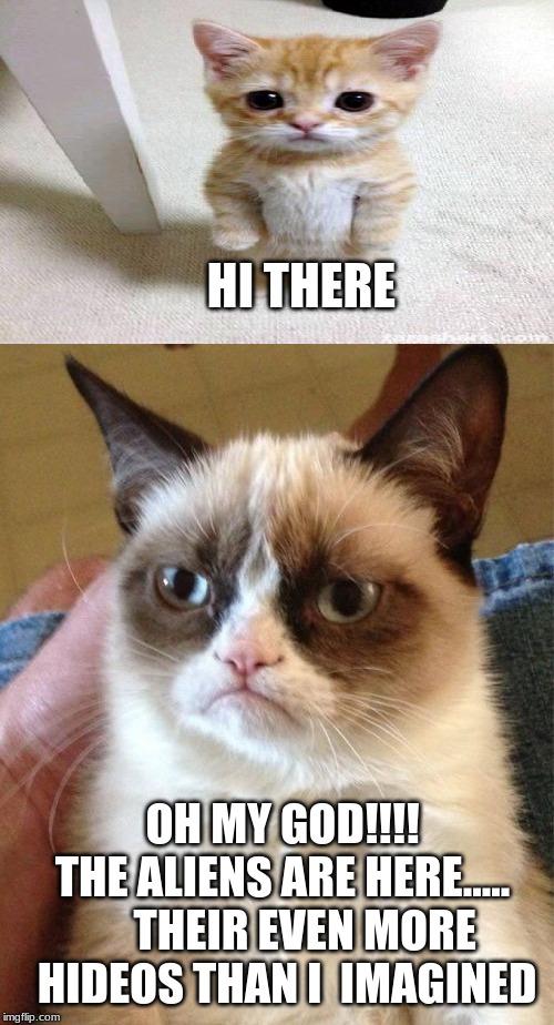 Grumpy Cat Meme | HI THERE; OH MY GOD!!!!

THE ALIENS ARE HERE.....

     THEIR EVEN MORE
 HIDEOS THAN I  IMAGINED | image tagged in memes,grumpy cat | made w/ Imgflip meme maker