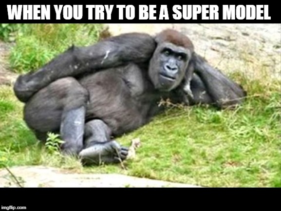 WHEN YOU TRY TO BE A SUPER MODEL | image tagged in funny memes | made w/ Imgflip meme maker