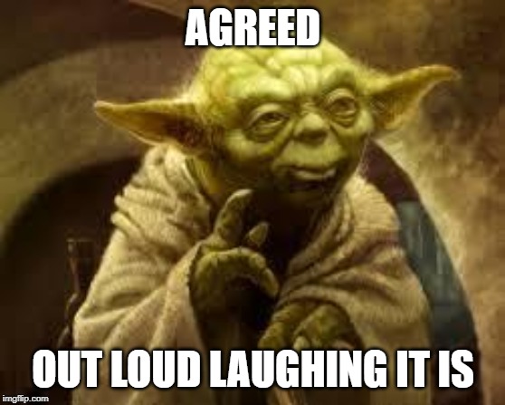 yoda | AGREED OUT LOUD LAUGHING IT IS | image tagged in yoda | made w/ Imgflip meme maker