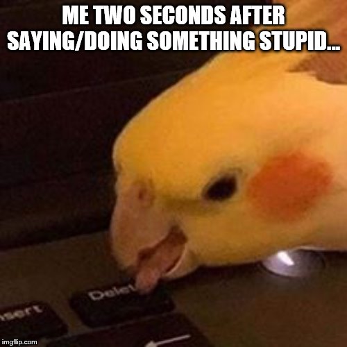 ME TWO SECONDS AFTER SAYING/DOING SOMETHING STUPID... | image tagged in somewhat funny | made w/ Imgflip meme maker