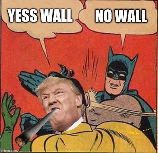 Batman Slapping Robin | YESS WALL; NO WALL | image tagged in memes,batman slapping robin | made w/ Imgflip meme maker