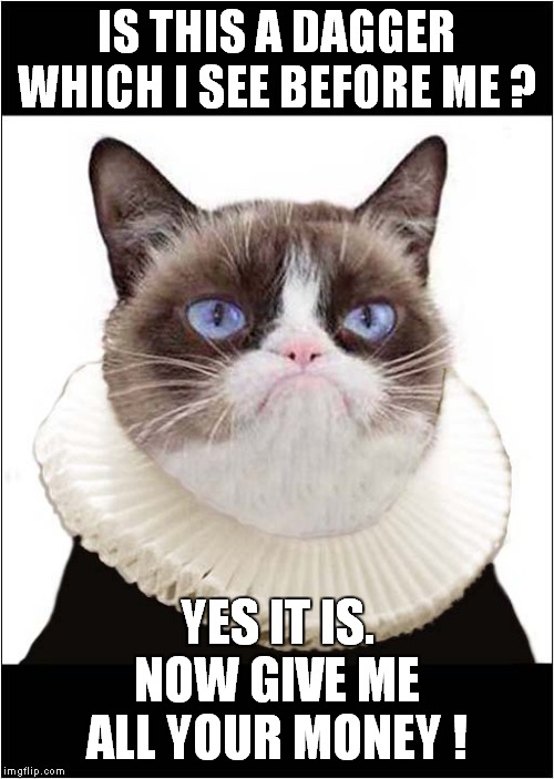 Grumpys Macbeth Variation | IS THIS A DAGGER WHICH I SEE BEFORE ME ? YES IT IS.
NOW GIVE ME ALL YOUR MONEY ! | image tagged in fun,grumpy cat,shakespeare,macbeth | made w/ Imgflip meme maker