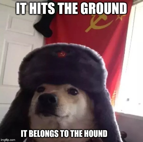 Russian anthem plays.... | IT HITS THE GROUND; IT BELONGS TO THE HOUND | image tagged in doggo,communism | made w/ Imgflip meme maker