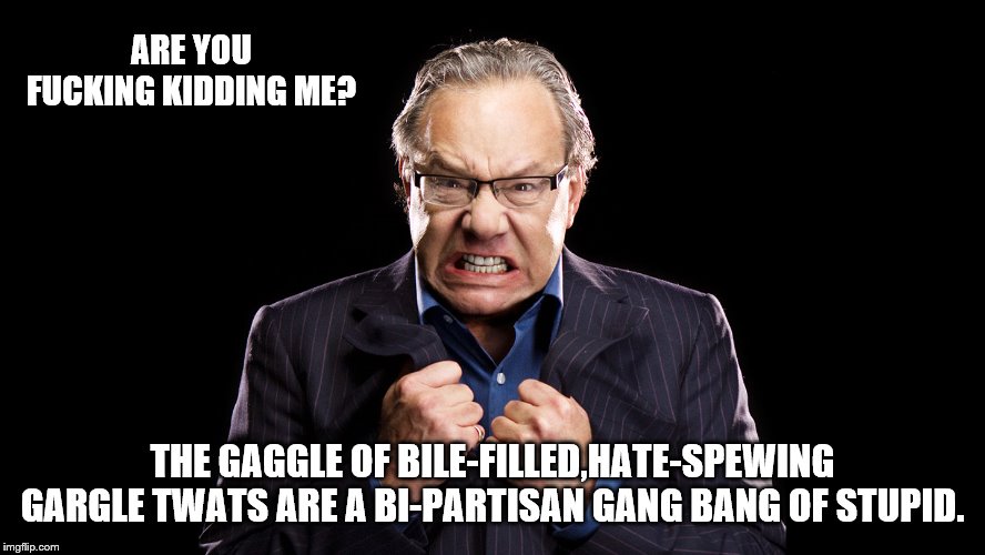 ARE YOU F**KING KIDDING ME? THE GAGGLE OF BILE-FILLED,HATE-SPEWING GARGLE TWATS ARE A BI-PARTISAN GANG BANG OF STUPID. | made w/ Imgflip meme maker