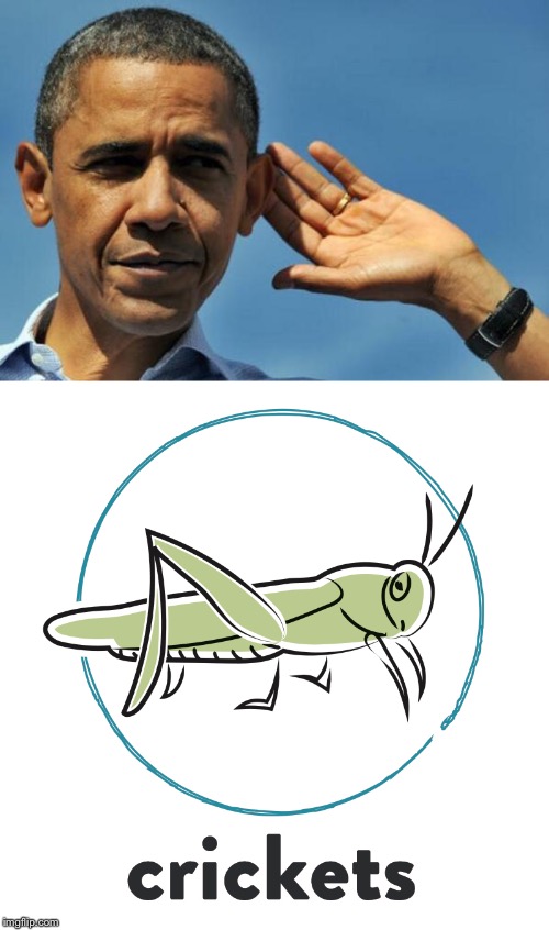 High Quality Obama crickets reacc Blank Meme Template