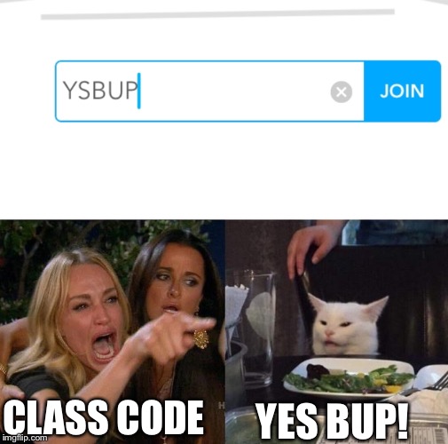 CLASS CODE; YES BUP! | image tagged in memes,woman yelling at cat | made w/ Imgflip meme maker