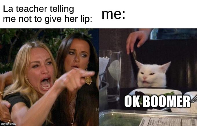 Woman Yelling At Cat Meme | me:; La teacher telling me not to give her lip:; OK BOOMER | image tagged in memes,woman yelling at cat | made w/ Imgflip meme maker