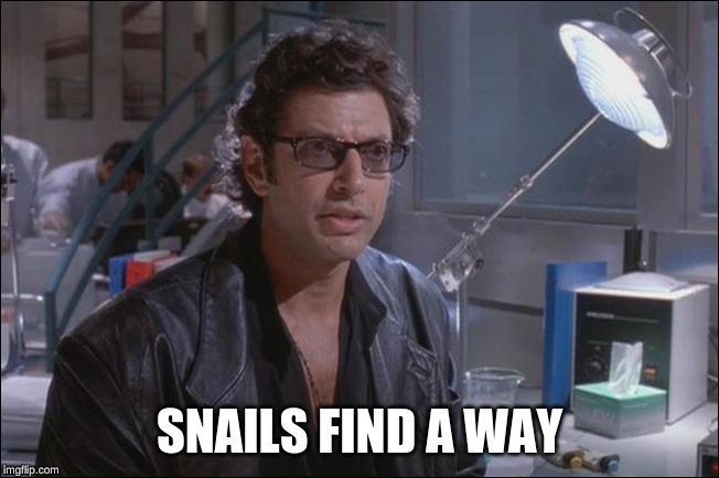 SNAILS FIND A WAY | image tagged in dr ian malcom jeff goldblum | made w/ Imgflip meme maker
