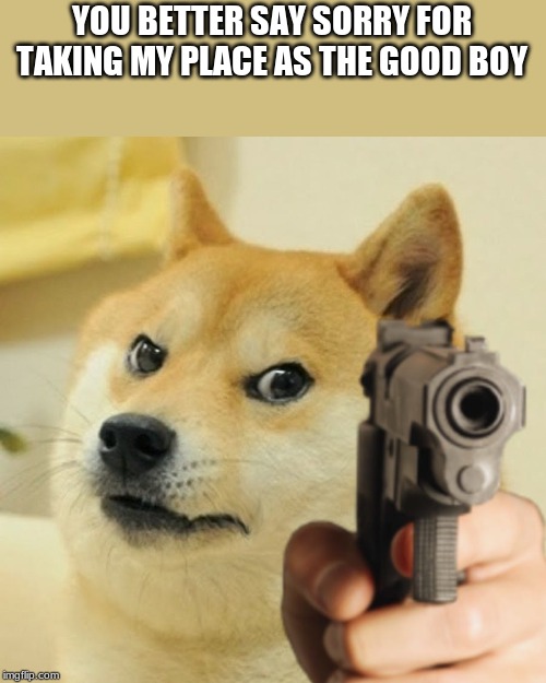 Doge holding a gun | YOU BETTER SAY SORRY FOR TAKING MY PLACE AS THE GOOD BOY | image tagged in doge holding a gun | made w/ Imgflip meme maker