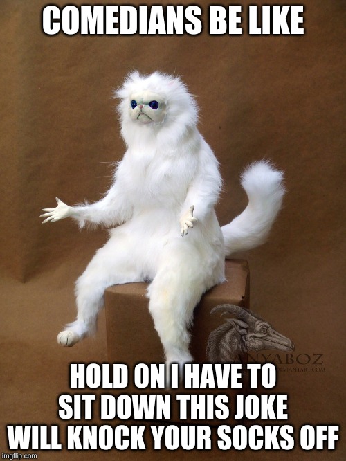 Persian Cat Room Guardian Single | COMEDIANS BE LIKE; HOLD ON I HAVE TO SIT DOWN THIS JOKE WILL KNOCK YOUR SOCKS OFF | image tagged in memes,persian cat room guardian single | made w/ Imgflip meme maker