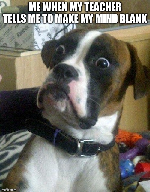 Surprised Dog | ME WHEN MY TEACHER TELLS ME TO MAKE MY MIND BLANK | image tagged in surprised dog | made w/ Imgflip meme maker