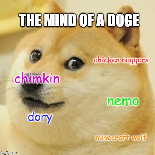 Doge Meme | THE MIND OF A DOGE; chicken nuggers; chimkin; nemo; dory; minecraft wolf | image tagged in memes,doge | made w/ Imgflip meme maker