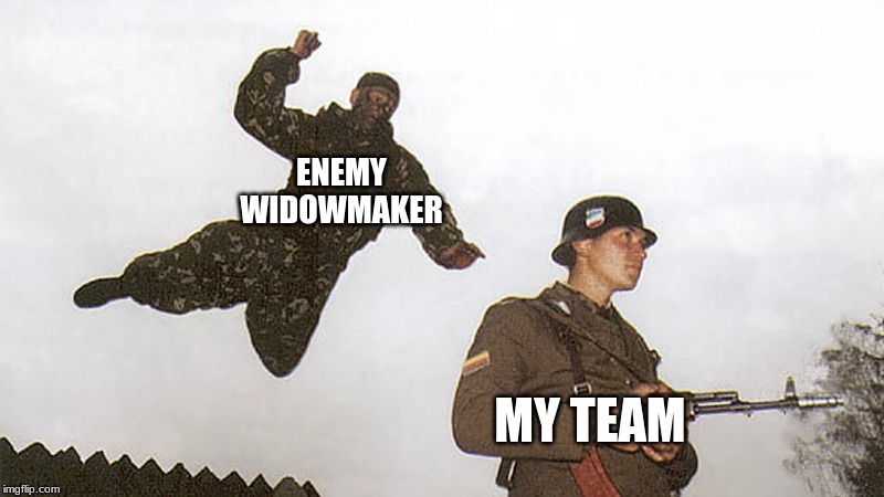 Soldier jump spetznaz | ENEMY WIDOWMAKER; MY TEAM | image tagged in soldier jump spetznaz | made w/ Imgflip meme maker