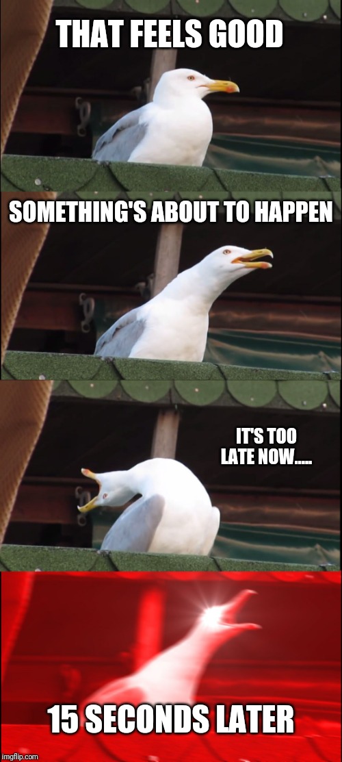 Inhaling Seagull | THAT FEELS GOOD; SOMETHING'S ABOUT TO HAPPEN; IT'S TOO LATE NOW..... 15 SECONDS LATER | image tagged in memes,inhaling seagull | made w/ Imgflip meme maker