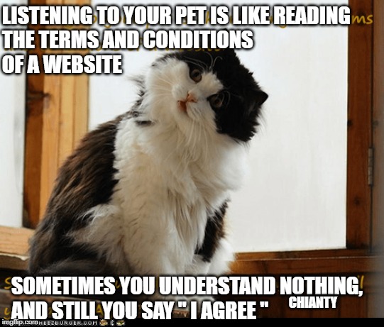 Listen | LISTENING TO YOUR PET IS LIKE READING 
THE TERMS AND CONDITIONS 
OF A WEBSITE; CHIANTY; SOMETIMES YOU UNDERSTAND NOTHING, 
AND STILL YOU SAY " I AGREE " | image tagged in agree | made w/ Imgflip meme maker