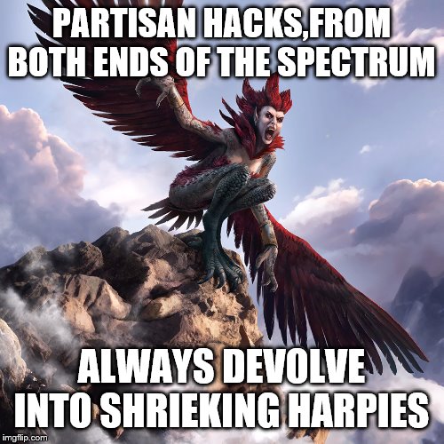 PARTISAN HACKS,FROM BOTH ENDS OF THE SPECTRUM ALWAYS DEVOLVE INTO SHRIEKING HARPIES | made w/ Imgflip meme maker
