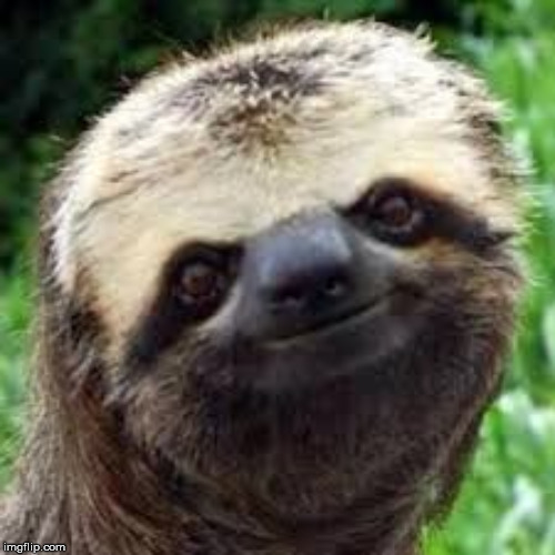 Stoner Sloth | image tagged in stoner sloth | made w/ Imgflip meme maker