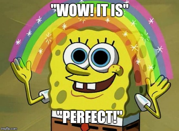 Imagination Spongebob Meme | "WOW! IT IS"; "PERFECT!" | image tagged in memes,imagination spongebob | made w/ Imgflip meme maker