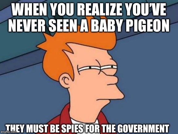 Futurama Fry Meme | WHEN YOU REALIZE YOU’VE NEVER SEEN A BABY PIGEON; THEY MUST BE SPIES FOR THE GOVERNMENT | image tagged in memes,futurama fry | made w/ Imgflip meme maker