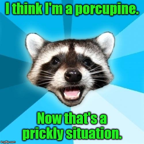 Lame Pun Coon Meme | I think I'm a porcupine. Now that's a prickly situation. | image tagged in memes,lame pun coon | made w/ Imgflip meme maker