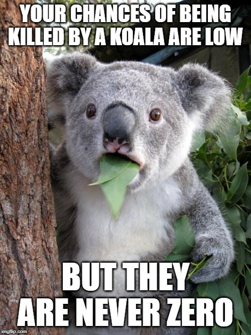 Koalas Can Kill | YOUR CHANCES OF BEING KILLED BY A KOALA ARE LOW; BUT THEY ARE NEVER ZERO | image tagged in memes,surprised koala,statistics | made w/ Imgflip meme maker