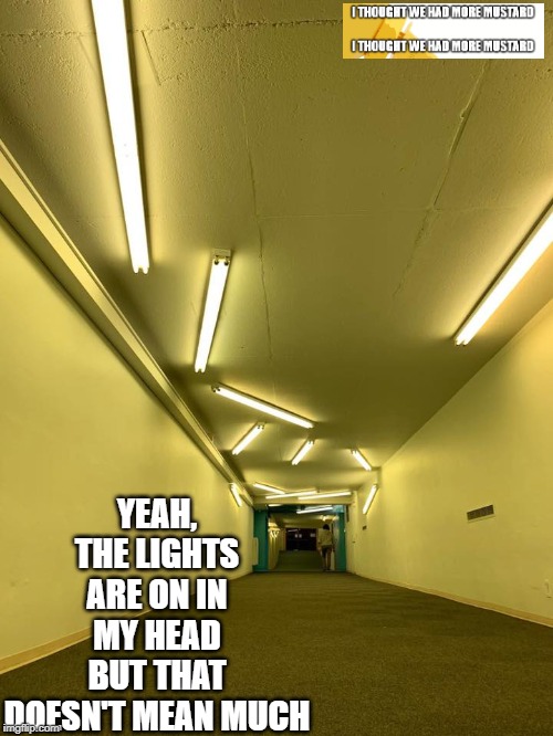 Lights In My Head | YEAH, THE LIGHTS ARE ON IN MY HEAD BUT THAT DOESN'T MEAN MUCH | image tagged in mental health,mental illness | made w/ Imgflip meme maker