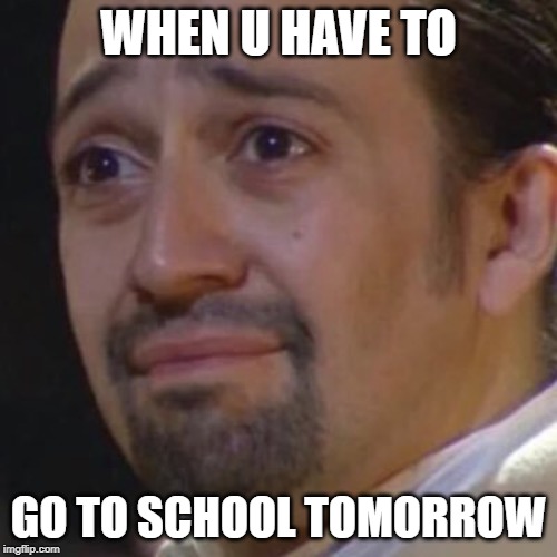 Sad Hamilton | WHEN U HAVE TO; GO TO SCHOOL TOMORROW | image tagged in sad hamilton | made w/ Imgflip meme maker