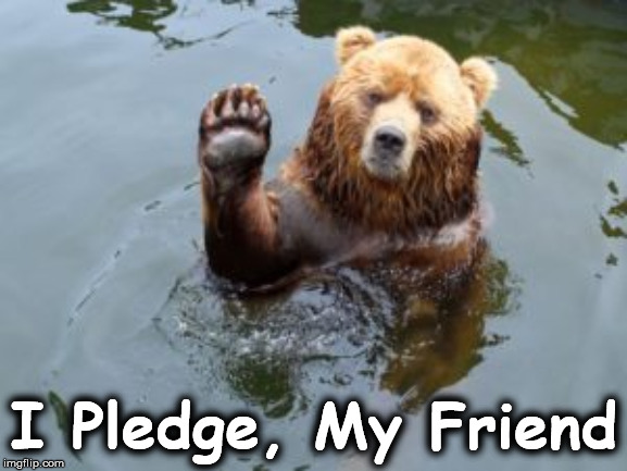 salue | I Pledge, My Friend | image tagged in salue | made w/ Imgflip meme maker