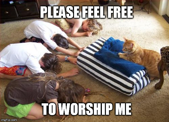 PLEASE FEEL FREE TO WORSHIP ME | made w/ Imgflip meme maker