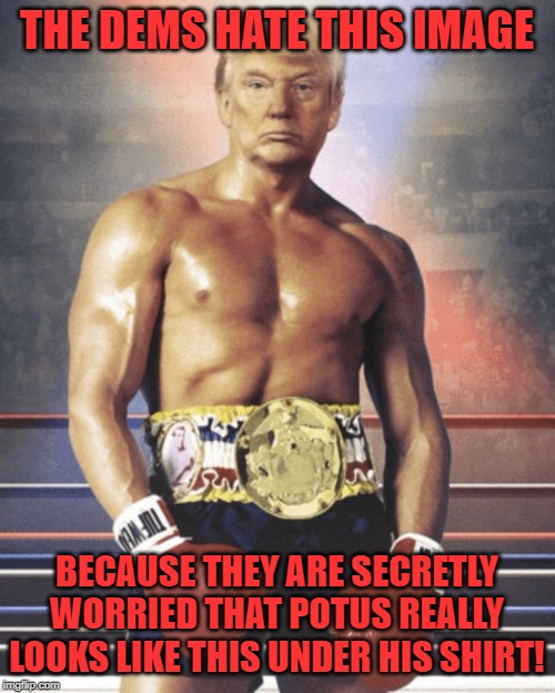 Maybe his body armor is a fat-suit. | THE DEMS HATE THIS IMAGE; BECAUSE THEY ARE SECRETLY WORRIED THAT POTUS REALLY LOOKS LIKE THIS UNDER HIS SHIRT! | image tagged in trump rocky balboa | made w/ Imgflip meme maker