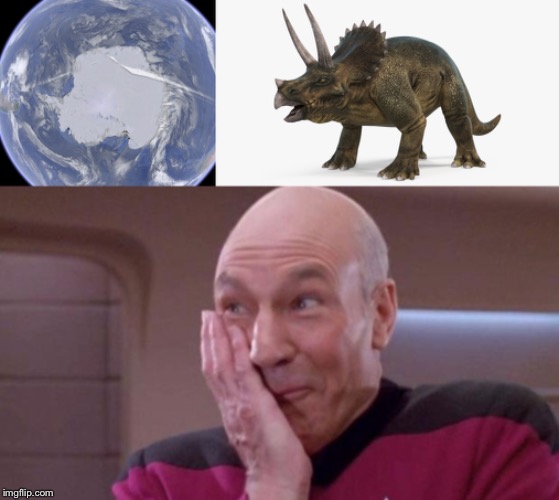 image tagged in picard oops | made w/ Imgflip meme maker