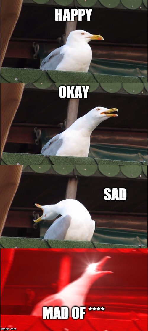 Inhaling Seagull | HAPPY; OKAY; SAD; MAD OF **** | image tagged in memes,inhaling seagull | made w/ Imgflip meme maker